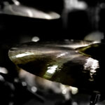 2026年4月イベントのお知らせ